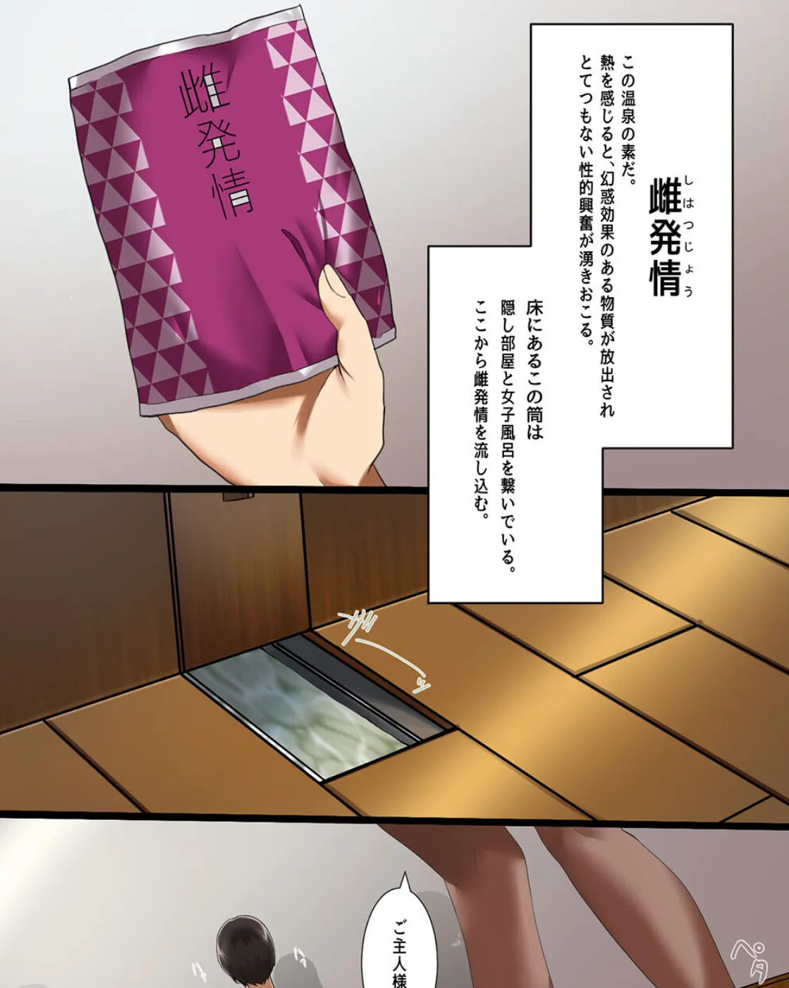 発情温泉ハーレム!秘湯の力で俺のアレを欲しがる女性客たちをよりどりみどり食い放題!! 5ページ